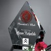 Coventry Diamond Crystal Award